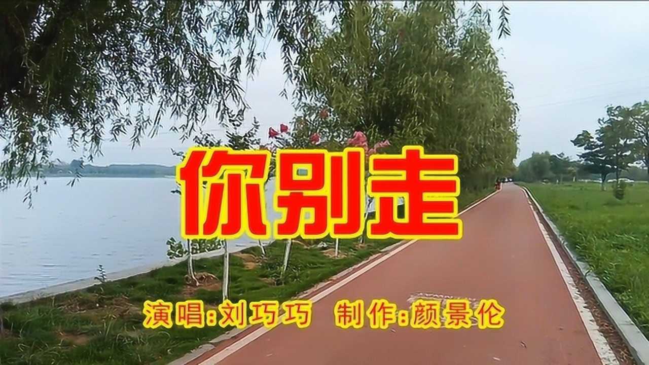 刘巧巧你别走伤感情歌好听送给你