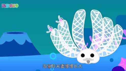 海豚帮帮号 第一季 船长日记-玻璃海绵和俪虾_高清1080p在线观看平台