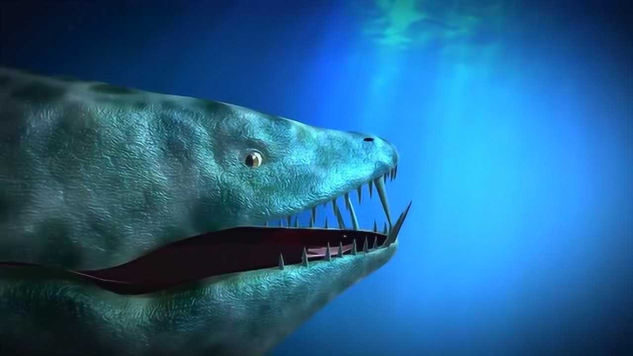 变异巨齿鲨苍龙图片