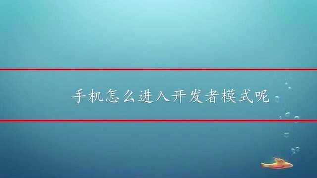 手机怎么进入开发者模式呢