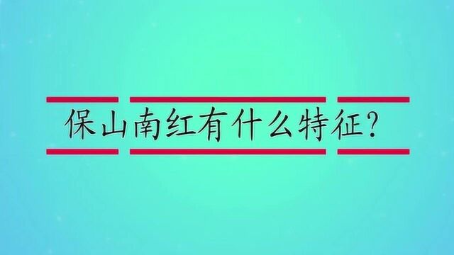 保山南红有什么特征?