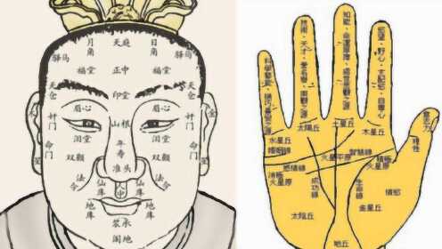 手相掌纹图解：4种不同掌纹的寓意，看你属于哪一种？_腾讯视频
