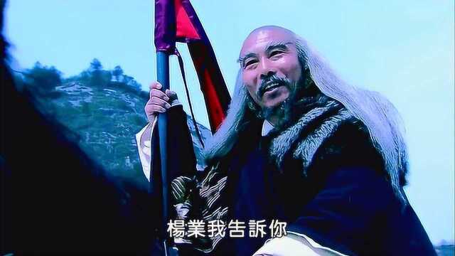 宋帝听信谗言放弃杨家军,杨业父子精忠报国,金沙滩血战辽军