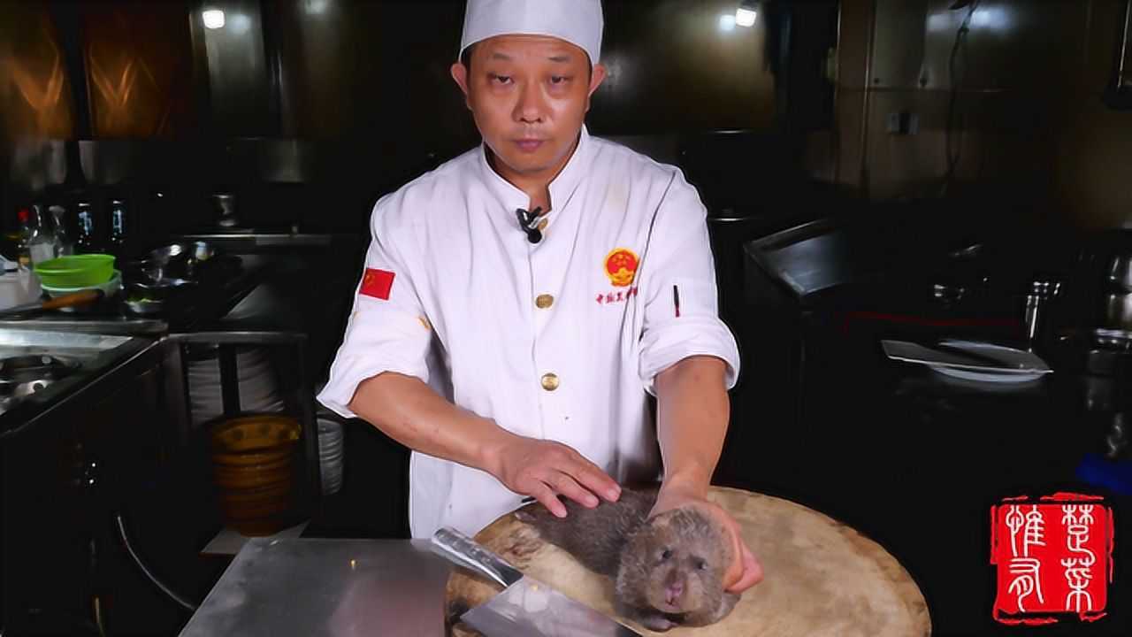 楚菜大师邹万发教你竹鼠的宰杀方法,做好红烧竹鼠、烤竹鼠必学!_高清1080P在线观看平台_腾讯视频