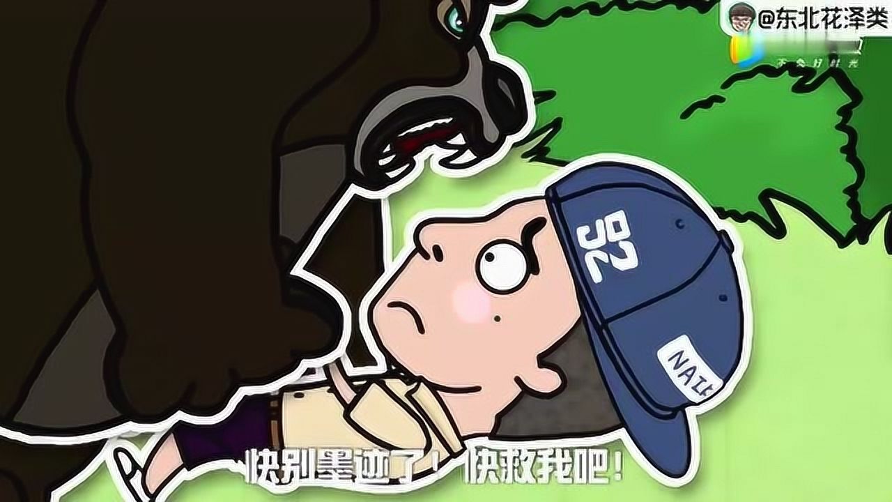 东北花泽类:花泽类见人就坑.