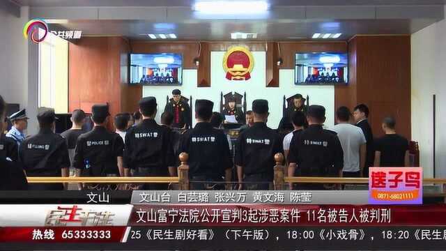 扫黑除恶:文山富宁法院公开宣判3起涉恶案件,11人被判刑!