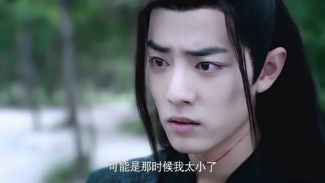 陈情令:蓝湛向魏无羡坦白,阿羡眼圈都红了,原来思追就是阿苑