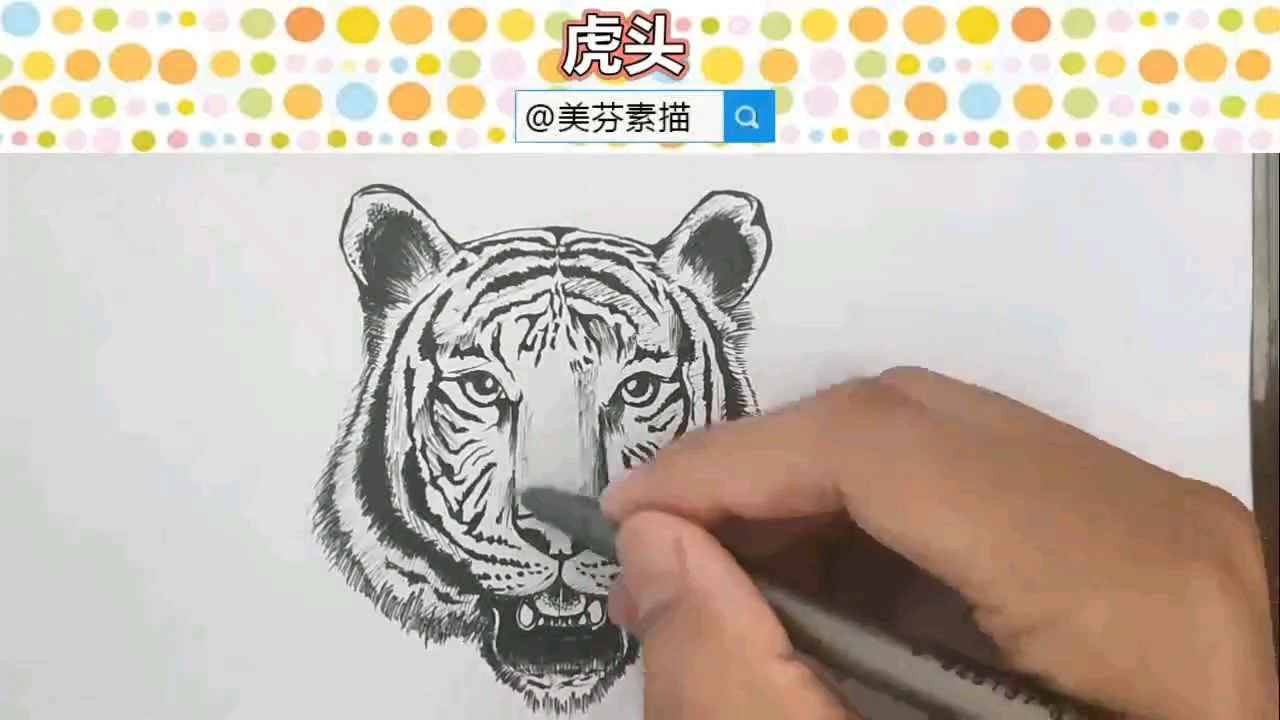 超霸气老虎正面虎头素描入门教程凶猛动物速写手绘画法步骤