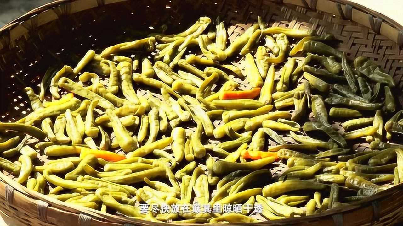 深秋山珍阴辣椒