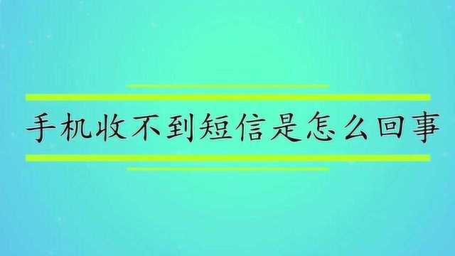 手机收不到短信是怎么回事