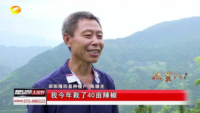 邵阳:打通产销“任督二脉”