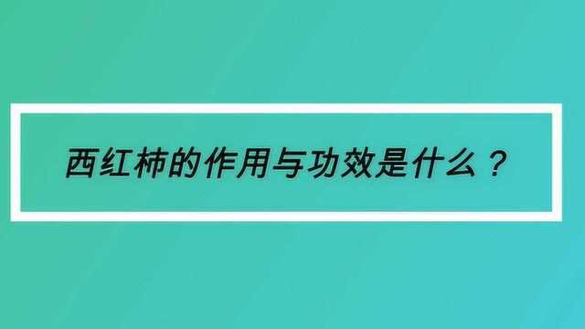 西红柿的作用与功效是什么?