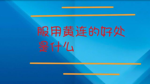 服用黄连对人好处是什么?