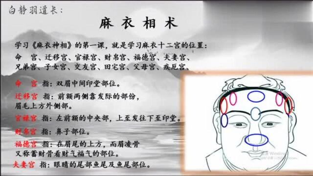 麻衣神相:观其相貌,知其命运,第一课,学习面相十二宫的位置