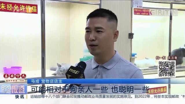 宠物经济观察:猫狗最受宠,养宠人士多为“白富美”