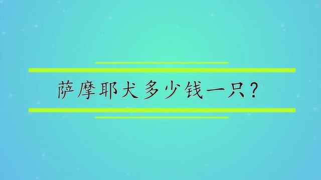 萨摩耶犬多少钱一只?