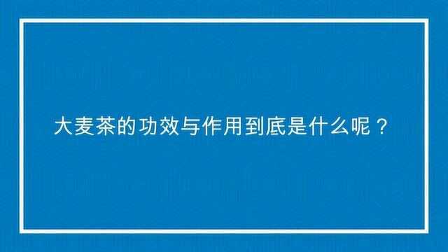 大麦茶的功效与作用到底是什么呢?