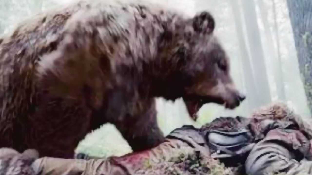 他第一眼见到熊便爱上护熊13年竟被熊吃掉死前录音让人发毛