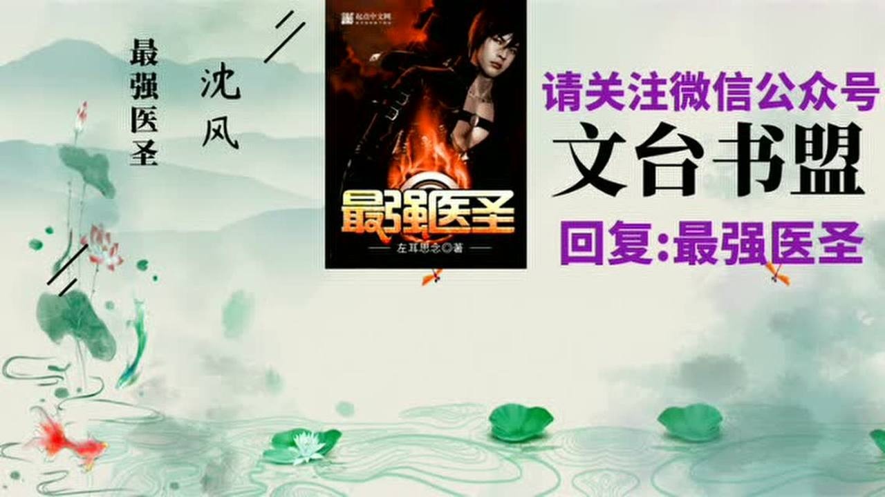 最强医圣沈风苏静雨左耳思念全集_腾讯视频