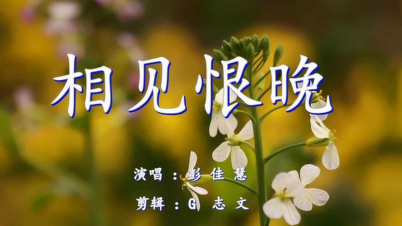 《相见恨晚》只恨相见得太晚 送给那些错过的人