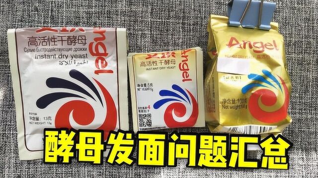 怎样用酵母发面?从用量到水温详细讲解,新手也能成功