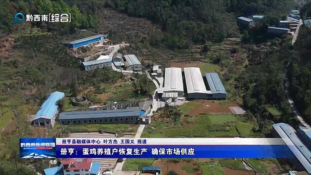 册亨:蛋鸡养殖户恢复生产 确保市场供应