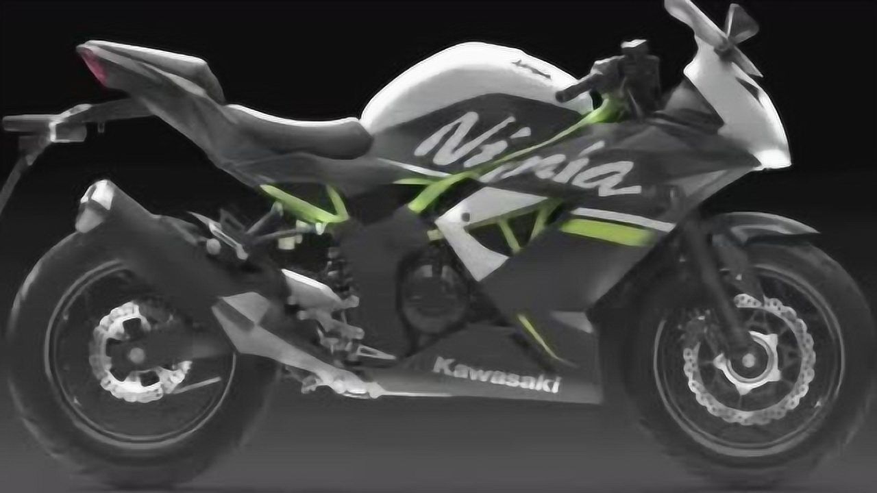 2020 川崎 ninja 250sl 全新版花