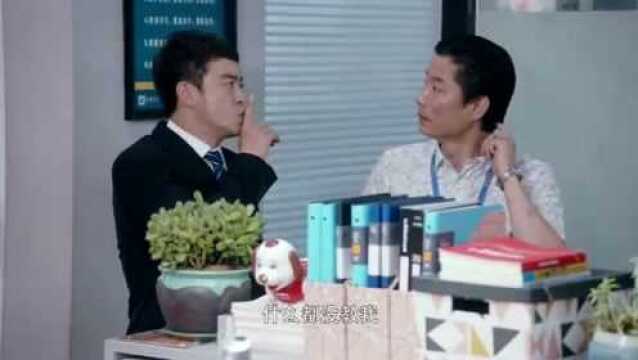 《安家》房似锦被安馨跳单,小楼威胁安馨,结果被辞退,孤独过生日!