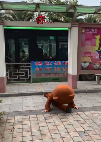 小熊遭遇了恶作剧竟意外在公交站台表演了一字马
