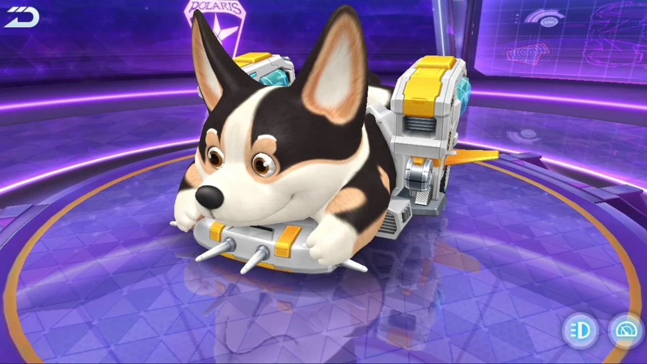 qq飞车手游全新a车柯基即将登场