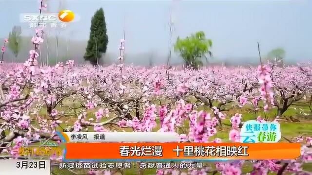 春暖花开万物复苏,你们家那边有哪些风景呢?这里的桃花景色美不胜收