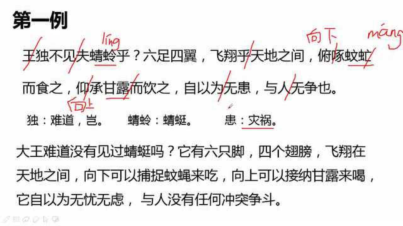 《亡羊补牢》小古文讲读(er)_腾讯视频