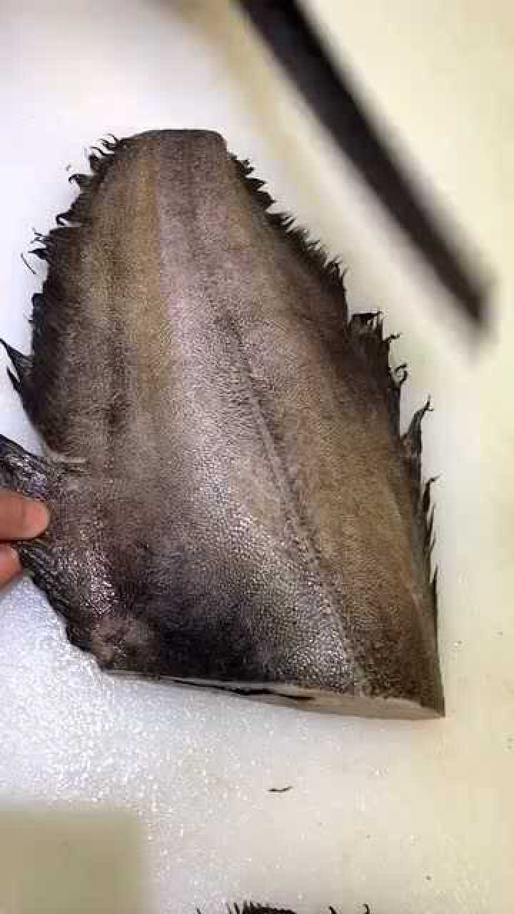 非常熟练的去扁鳕鱼片这个用味增腌非常好吃哦有喜欢的吗