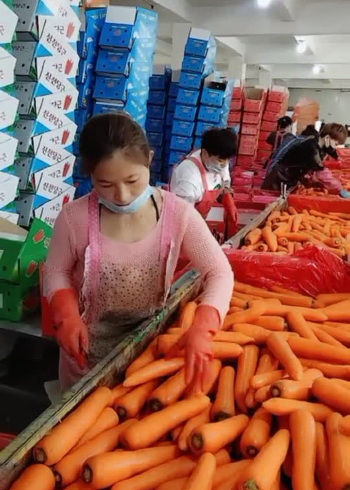 上早班,下早班,这两天真好