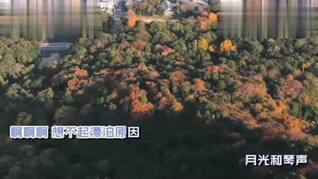 常毅《叮咛》MV饭制版