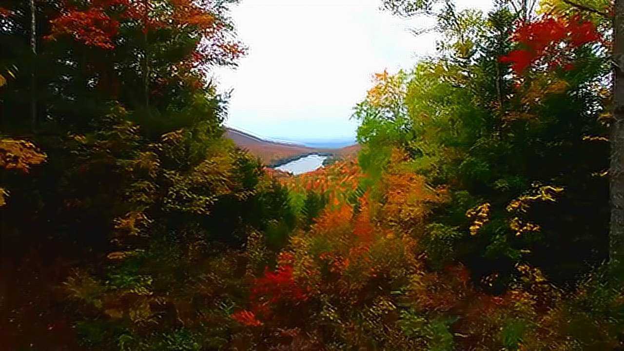 葫蘆絲《紅嫂》委婉動聽 紅嫂精神綻放光彩