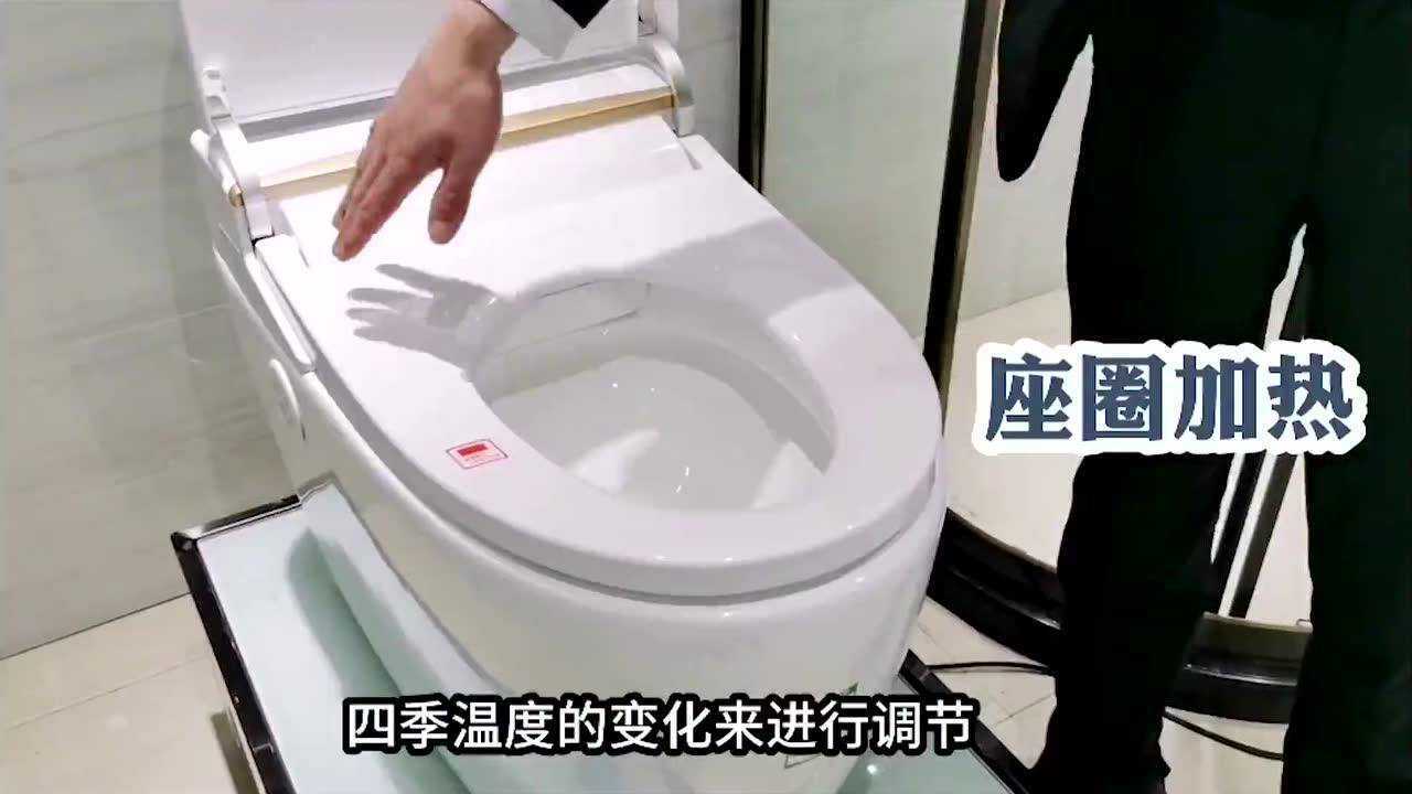 帝富龙智能马桶8002b视频