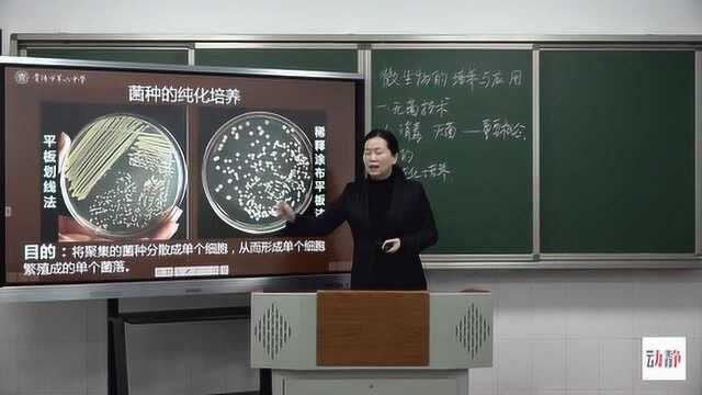 0401003高三理科生物选修一:微生物的培养与应用