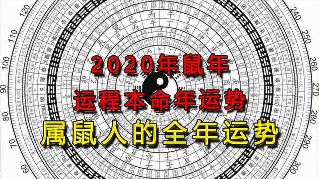 【十二生肖系列生肖鼠】2020年生肖运势及全年运势在鼠年如何呢?