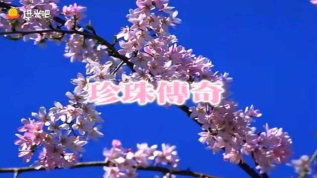 电视剧《珍珠传奇》片头曲,望断西京留传奇,声音太美了!