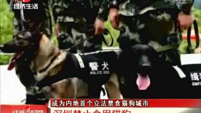 深圳禁止食用猫狗:成为内地首个立法禁食猫狗城市