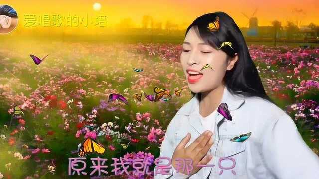 小培唱一首《酒醉的蝴蝶》送给网友,非常好听的歌曲,旋律太美了