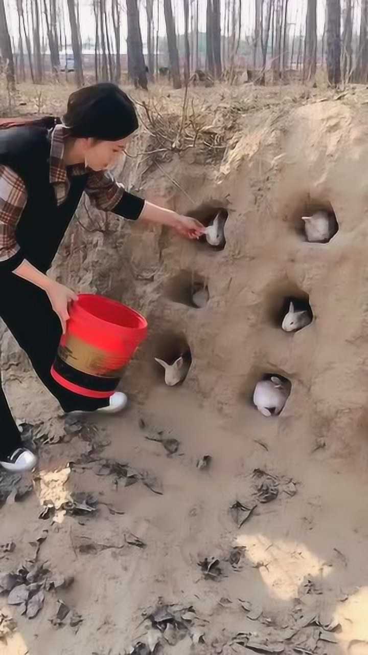 农村小姐姐养兔子,竟然这样制作兔子窝,真是太实用了!