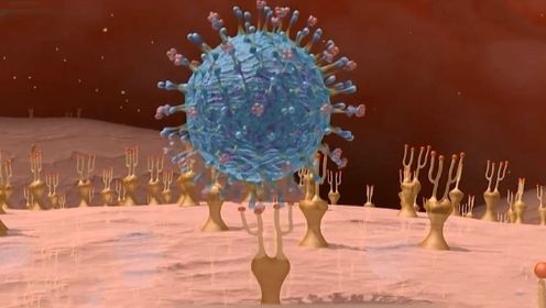 新冠病毒侵入人体21天里，身体会发生哪些变化？