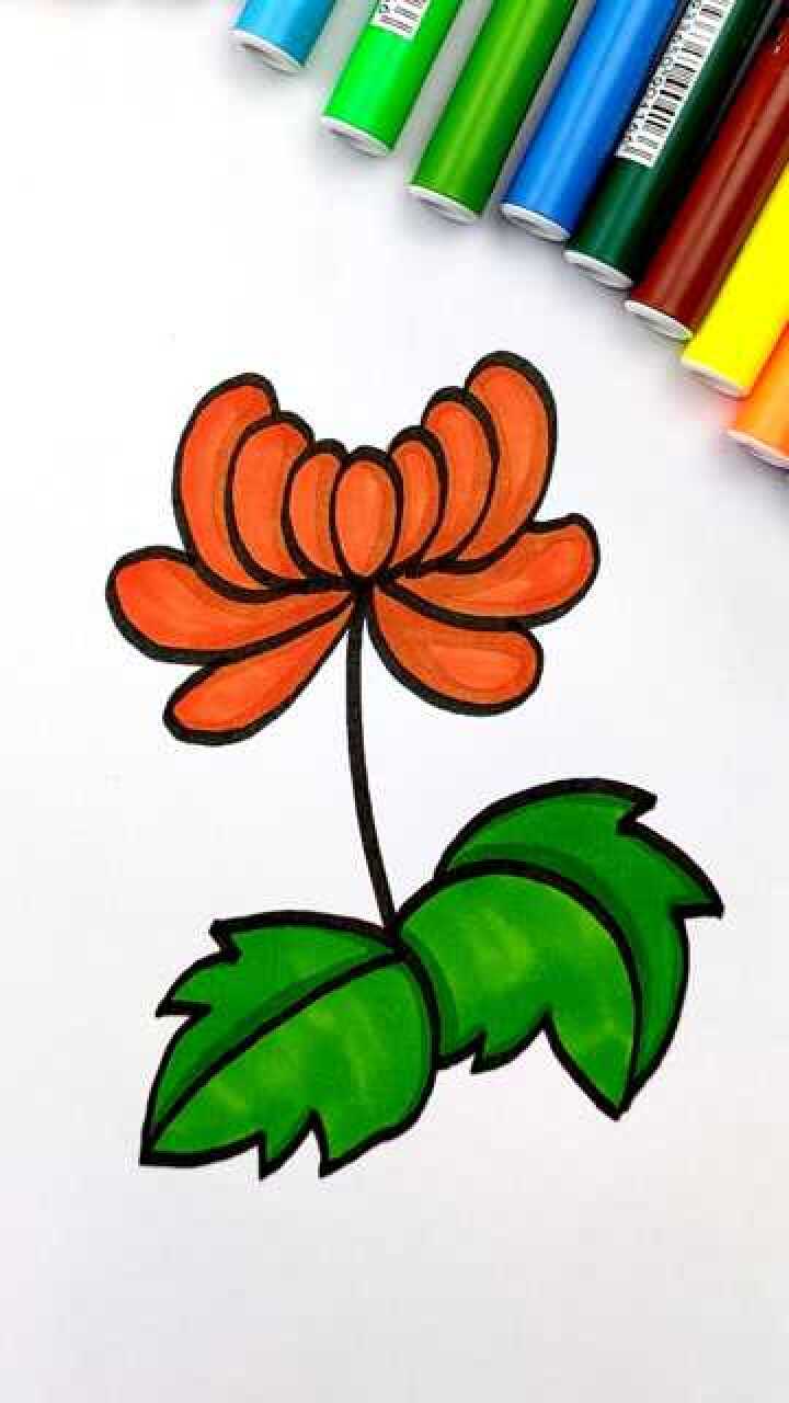 1分钟花卉简笔画,画一支漂亮的菊花!