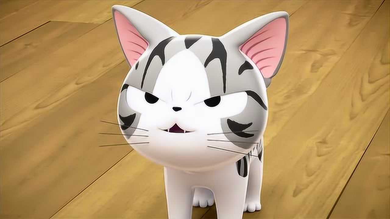 甜甜私房猫小奇错吃植物导致自己中毒爸爸妈妈很是担心