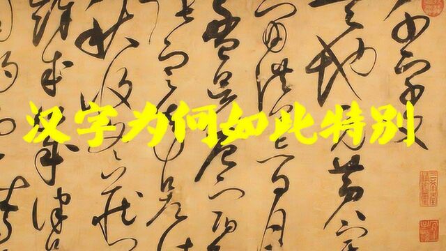 汉字和其他文字有哪些区别,为什么说汉字是世界文化的半壁江山