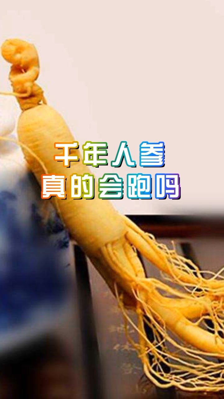 老人常说千年人参会跑它到底是什么跑的真相原来这么简单