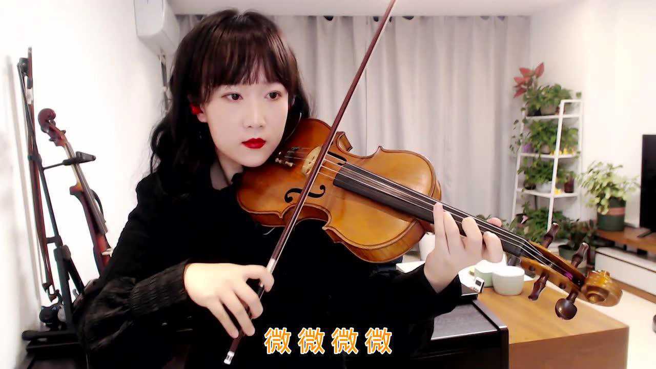 【揉揉酱小提琴】演奏 傅如乔 微微 小提琴版《自制小提琴谱》
