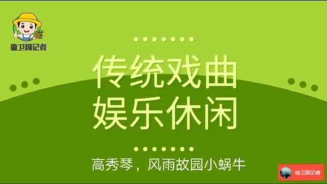 传统戏曲娱乐休闲,高秀琴,风雨故园小蜗牛